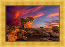 Load image into Gallery viewer, Moab Morning
