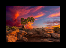 Load image into Gallery viewer, Moab Morning
