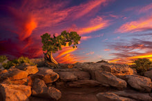 Load image into Gallery viewer, Moab Morning
