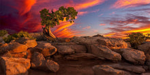 Load image into Gallery viewer, Moab Morning
