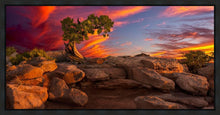 Load image into Gallery viewer, Moab Morning
