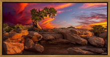 Load image into Gallery viewer, Moab Morning
