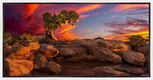 Load image into Gallery viewer, Moab Morning
