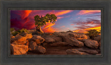 Load image into Gallery viewer, Moab Morning
