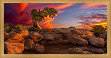 Load image into Gallery viewer, Moab Morning
