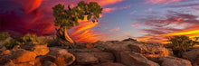 Load image into Gallery viewer, Moab Morning
