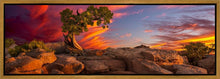 Load image into Gallery viewer, Moab Morning
