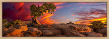 Load image into Gallery viewer, Moab Morning

