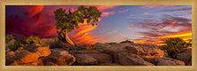 Load image into Gallery viewer, Moab Morning
