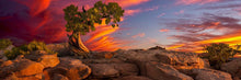 Load image into Gallery viewer, Moab Morning
