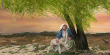 Load image into Gallery viewer, Feed My Lambs
