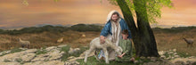 Load image into Gallery viewer, Feed My Lambs
