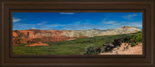 Load image into Gallery viewer, Snow Canyon Panoramic
