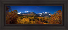 Load image into Gallery viewer, Back Side Of Timpanogos
