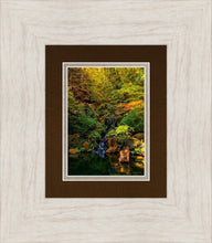 Load image into Gallery viewer, Secluded Pond
