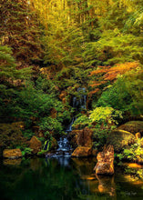 Load image into Gallery viewer, Secluded Pond
