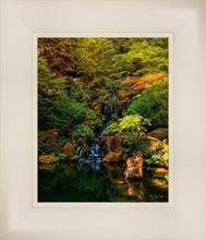 Load image into Gallery viewer, Secluded Pond
