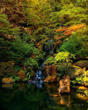 Load image into Gallery viewer, Secluded Pond
