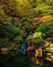 Load image into Gallery viewer, Secluded Pond
