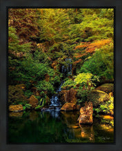 Load image into Gallery viewer, Secluded Pond
