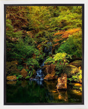 Load image into Gallery viewer, Secluded Pond

