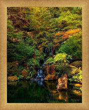 Load image into Gallery viewer, Secluded Pond
