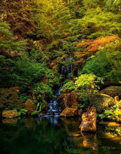 Load image into Gallery viewer, Secluded Pond
