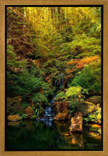 Load image into Gallery viewer, Secluded Pond
