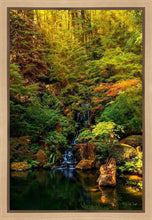 Load image into Gallery viewer, Secluded Pond
