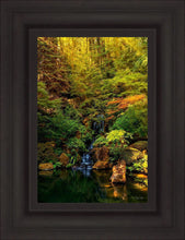 Load image into Gallery viewer, Secluded Pond

