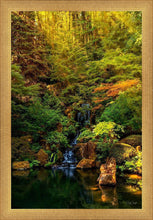Load image into Gallery viewer, Secluded Pond
