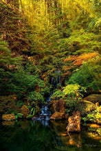 Load image into Gallery viewer, Secluded Pond
