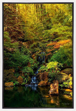 Load image into Gallery viewer, Secluded Pond
