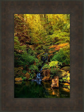 Load image into Gallery viewer, Secluded Pond
