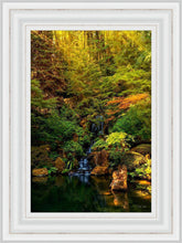 Load image into Gallery viewer, Secluded Pond
