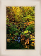 Load image into Gallery viewer, Secluded Pond
