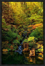 Load image into Gallery viewer, Secluded Pond
