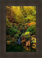 Load image into Gallery viewer, Secluded Pond
