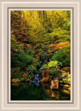 Load image into Gallery viewer, Secluded Pond
