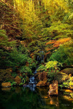 Load image into Gallery viewer, Secluded Pond
