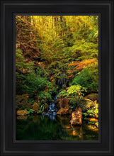 Load image into Gallery viewer, Secluded Pond
