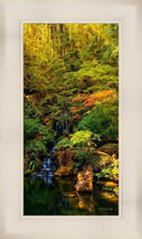 Load image into Gallery viewer, Secluded Pond
