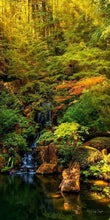 Load image into Gallery viewer, Secluded Pond
