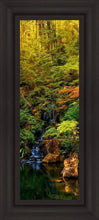 Load image into Gallery viewer, Secluded Pond
