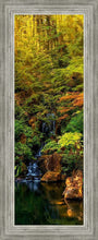 Load image into Gallery viewer, Secluded Pond
