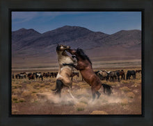 Load image into Gallery viewer, Desert Duel
