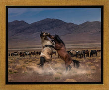 Load image into Gallery viewer, Desert Duel
