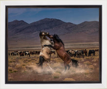 Load image into Gallery viewer, Desert Duel
