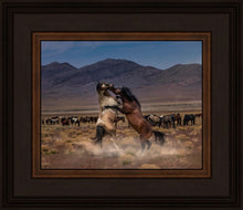 Load image into Gallery viewer, Desert Duel
