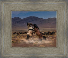 Load image into Gallery viewer, Desert Duel

